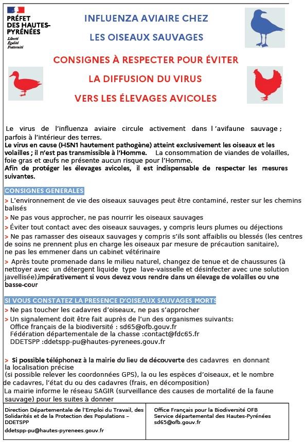 Affiche grippe aviaire DDT65